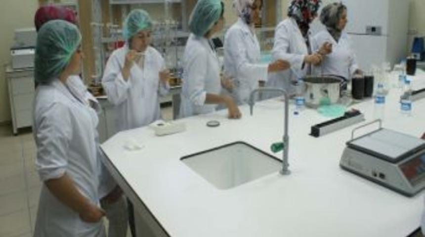 Kadınlar &Ccedil;ilek Ve &Ccedil;eviz Re&ccedil;eli Eğitimi Alıyor