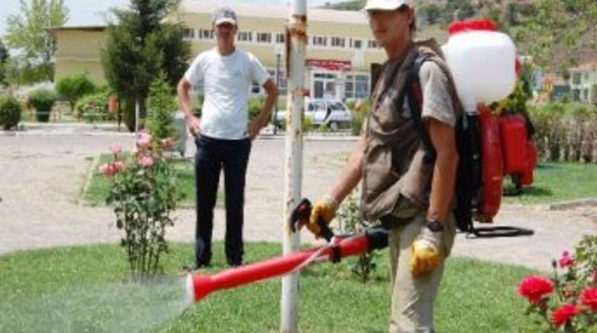 Piknik Alanları Keneye Karşı İla&ccedil;landı