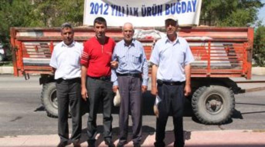 Ankara&rsquo;da Yılın Ilk Buğdayının Kilosu 0,77 Kuruştan Satıldı