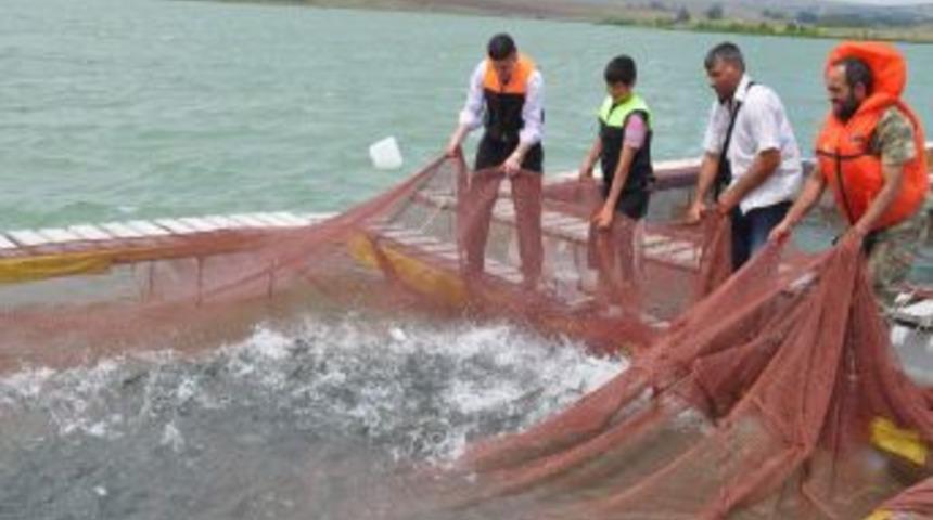 Yozgat&rsquo;ta Yıllık Balık &Uuml;retimi 230 Tona Ulaştı