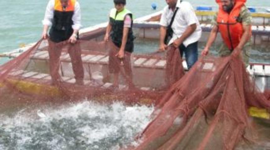 Sorgun&rsquo;da Yılda 25 Ton Alabalık &Uuml;retiliyor