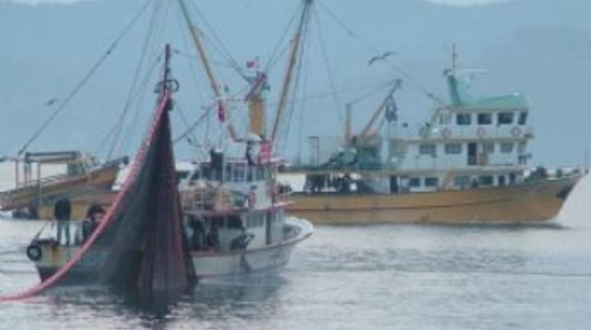 Balık Varlığını Korumak I&ccedil;in Karadeniz&rsquo;de Balık&ccedil;ı Gemileri Azaltılıyor