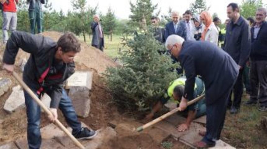 Kazada Hayatını Kaybeden 5 Gencin Adı Ladin Fidanıyla Yaşayacak