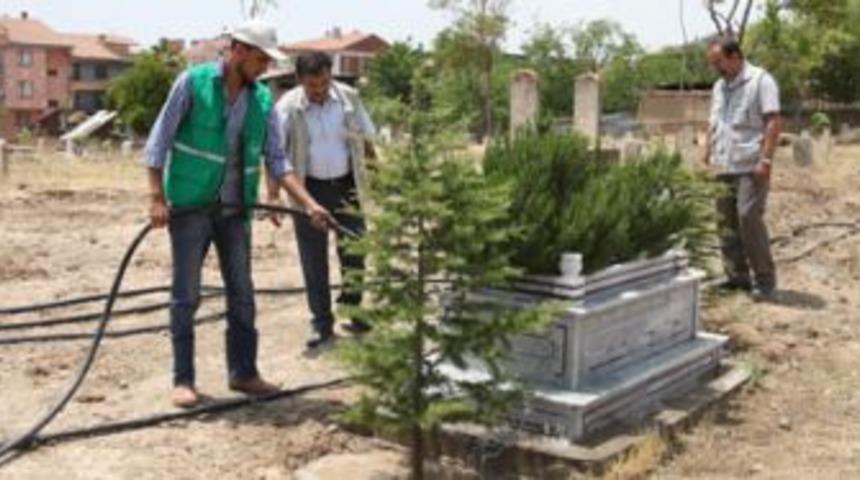 Mezarlıklarımıza ağa&ccedil; ve g&uuml;l ekiyoruz