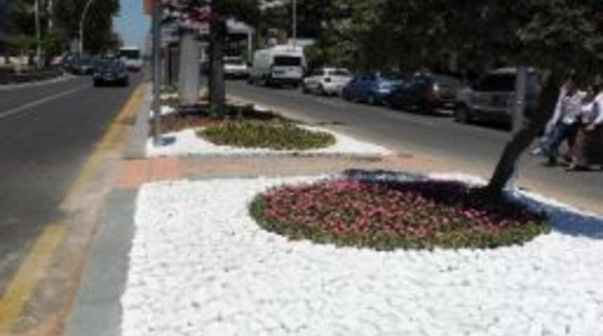 Yenilenen G&uuml;ll&uuml;k Caddesi T&ouml;renle A&ccedil;ılacak