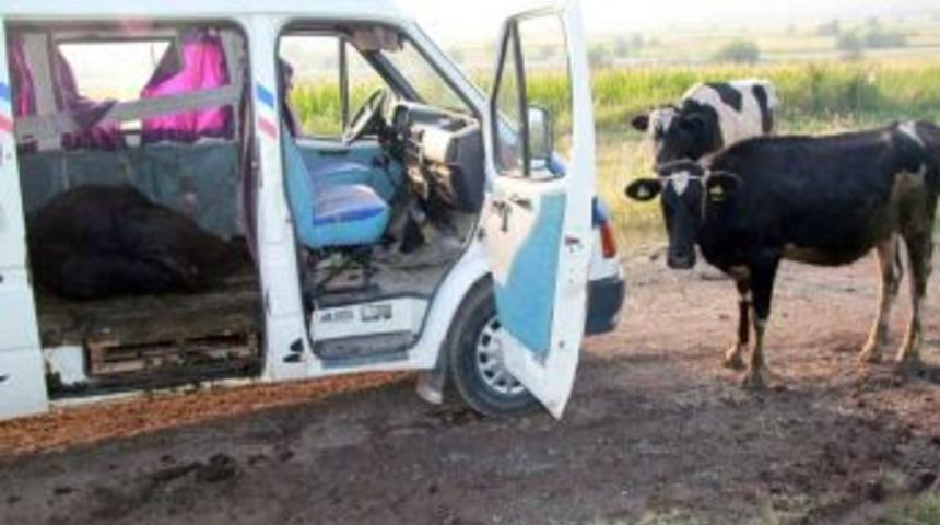 Hayvan Hırsızlığı Yapan Bir Kişi Tutuklandı