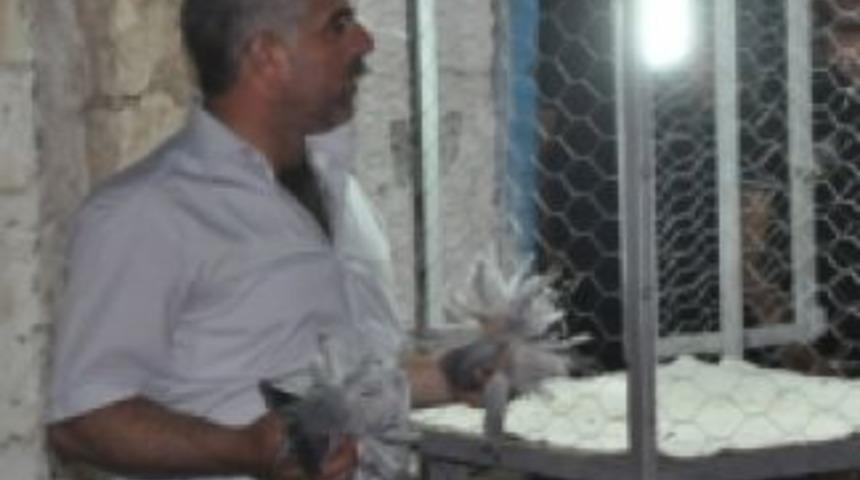 Kuş meraklıları a&ccedil;ık arttırmada