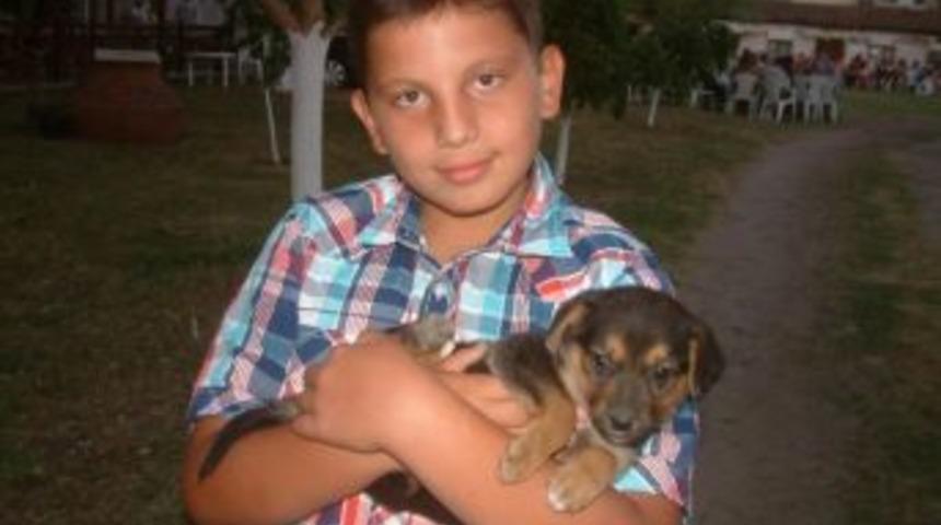 Burhaniye&rsquo;de Rahmican&rsquo;ın Hayvan Sevgisi