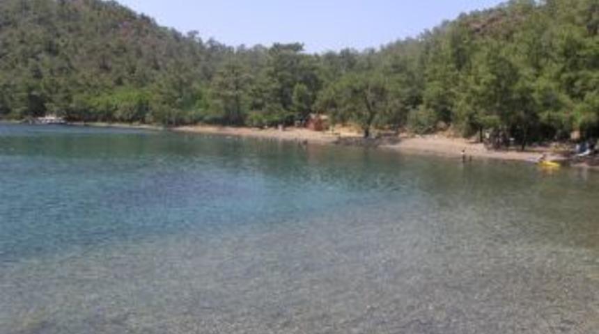 İnb&uuml;k&uuml; Koyu Azeri Survivor&rsquo;ı İ&ccedil;in Kapatıldı