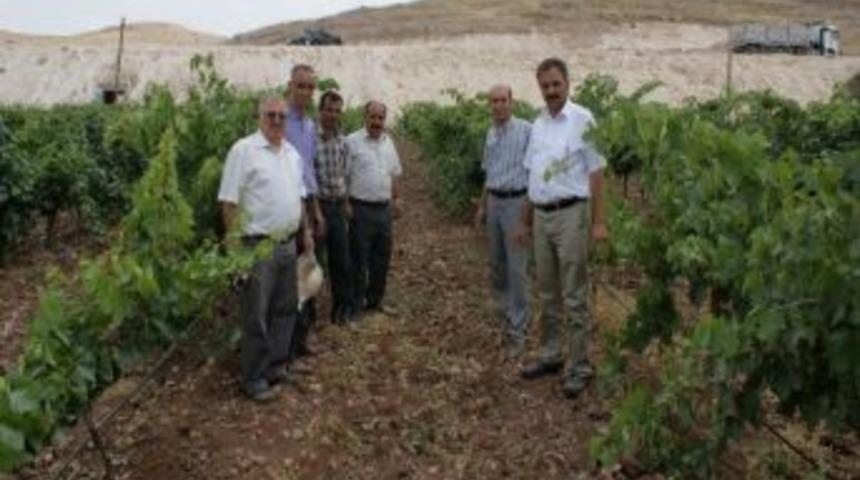 Tarım Uzmanları Batman'ı Ziyaret Etti