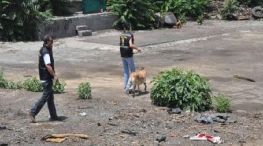 E-5 Kenarındaki Bomba Aramasında Telefon Bulundu