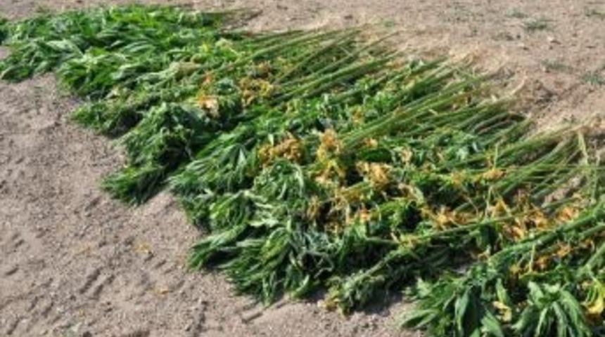 Yerk&ouml;y&rsquo;de Hint Keneviri Operasyonu