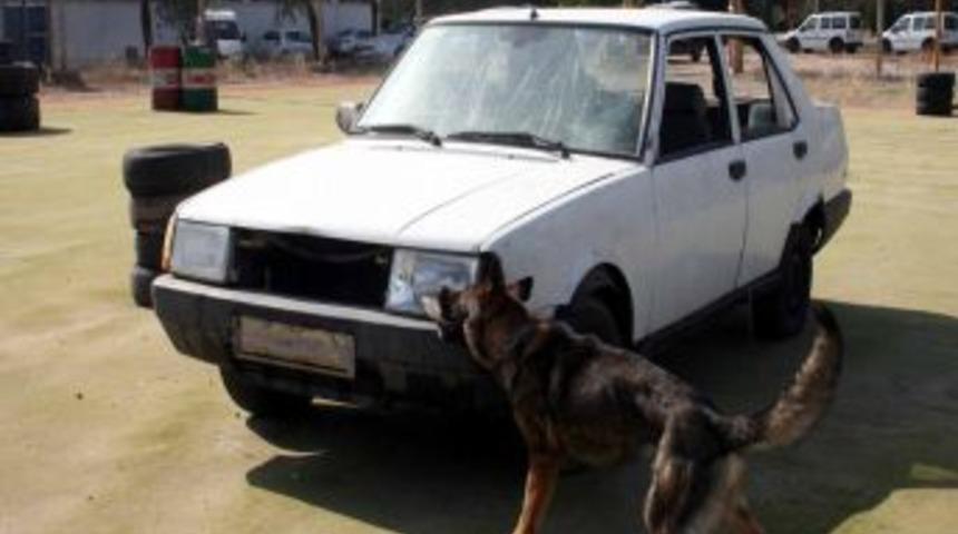 Diyarbakır&rsquo;ın Hassas Burunları, Uyuşturucu Affetmiyor