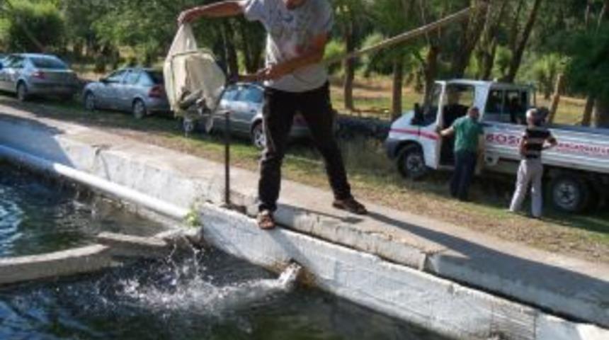 Balık &Ccedil;iftliği'nde haftasonu yoğunluğu