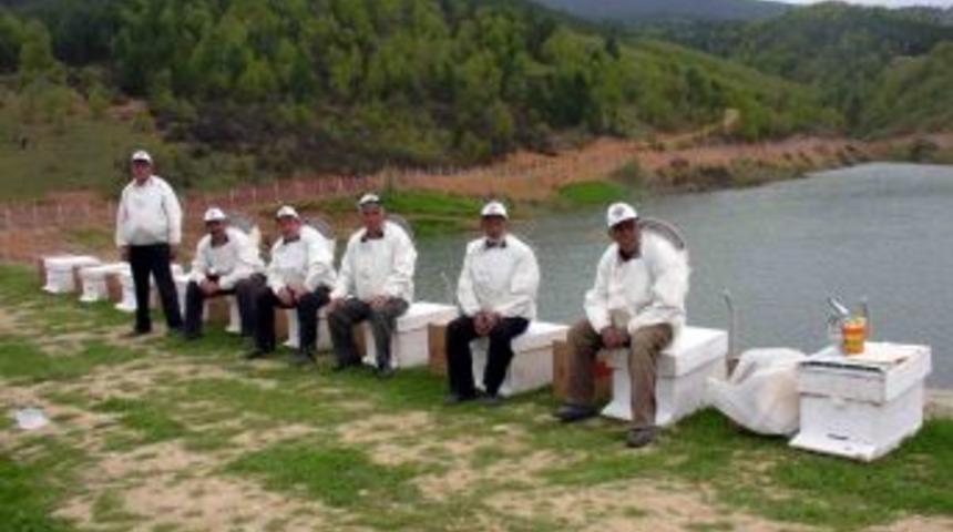 Arıcılar I&ccedil;in Ormanlarda &Ouml;zel Yollar Yapılacak