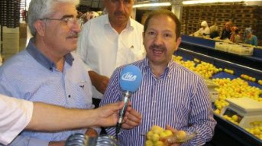 Milletvekili &Ouml;mer Faruk &Ouml;z, Kayısının Gelirinin 300-350 Milyon Dolardan 600 Milyon Dolara &Ccedil;ıkarılabileceğini S&ouml;yledi