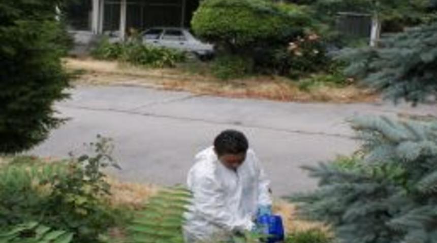 Patlayıcı Aramalarına Yeniden Başlandı