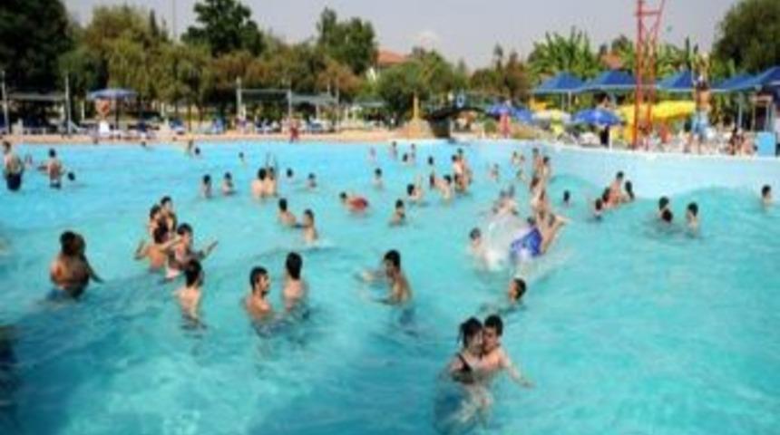 &ldquo;ıslak Mayo Mantar Ve Parazite Neden Oluyor&rdquo;