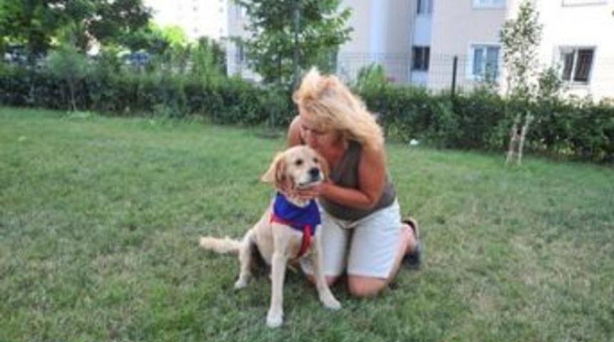 Her bah&ccedil;eye bir Mango lazım