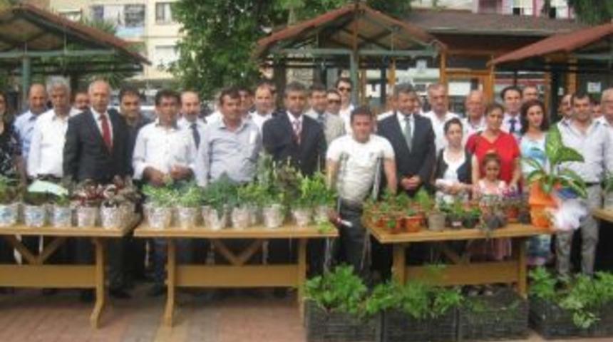 Samandağ&rsquo;da S&uuml;s Bitkisi Yetiştiriciliği