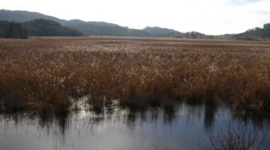 S&uuml;leymanlı G&ouml;l&uuml;&rsquo;nde Araştırma Yapılacak