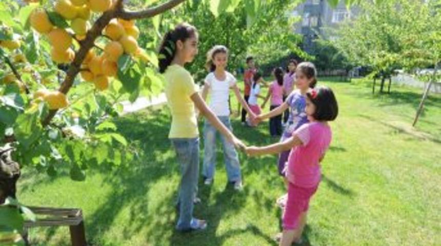 Kayısıları &Ccedil;ocuklar Koruyor