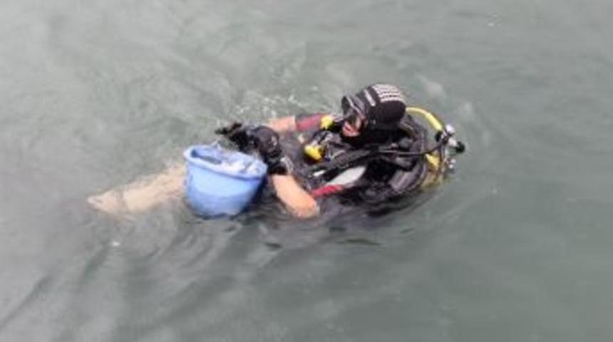 Karadeniz &Ccedil;&ouml;p Deniz