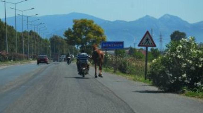 Otoyolda Motosikletin Beygir Eşliğindeki Seyri Şaşırttı