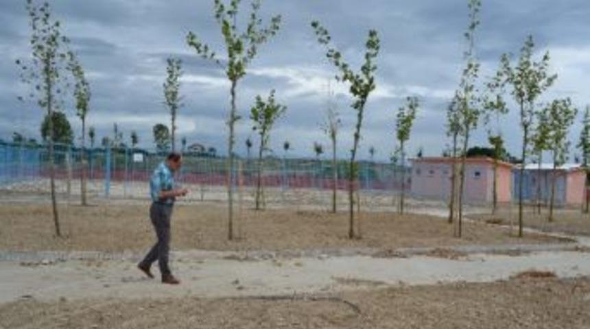 &Ccedil;erkezk&ouml;y&rsquo;e 5 Yıldızlı Hayvan Bakım Evi