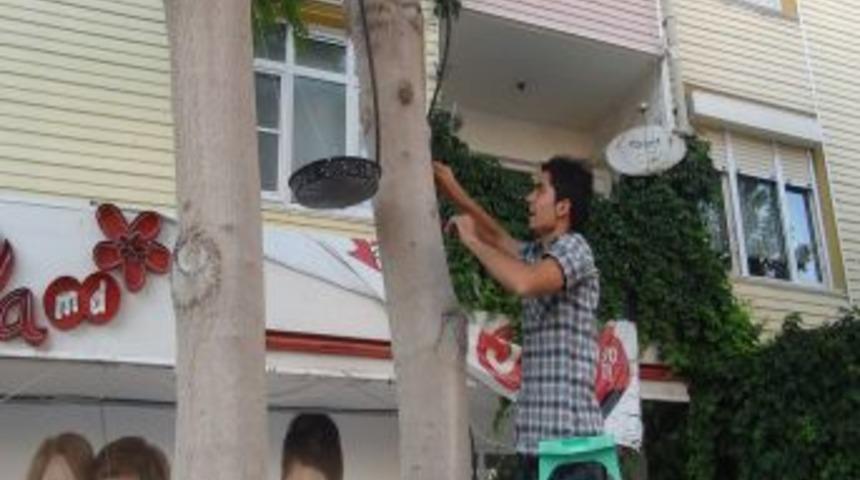 Karamanlı Gen&ccedil;ler Kuşlar I&ccedil;in Ağaca Su Kabı Koydu