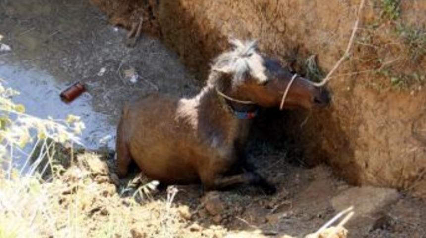 &Ccedil;ukura D&uuml;şen Atı Kurtarma Operasyonu