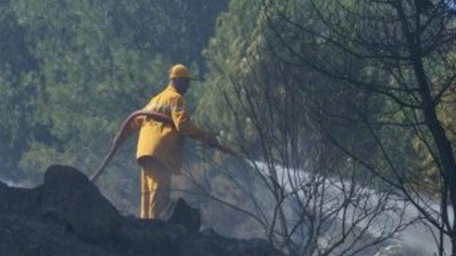 Milas’taki Orman Yangını