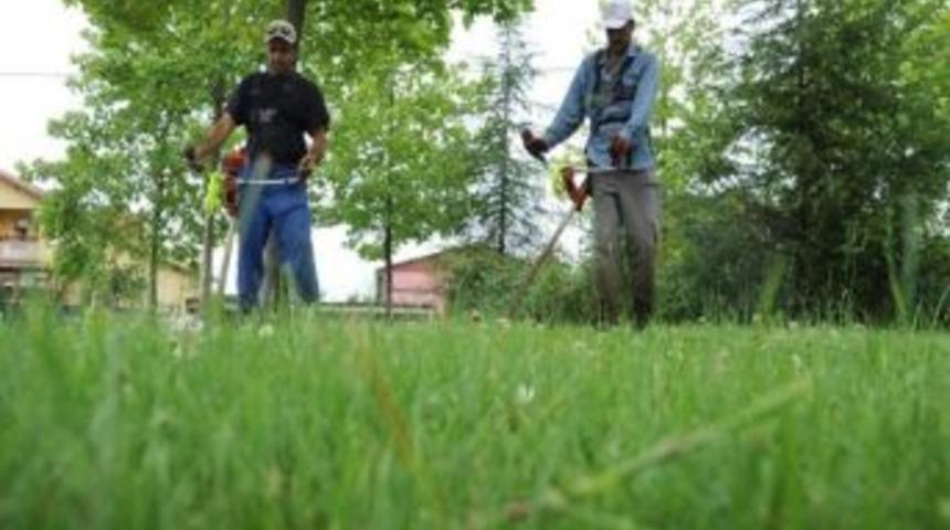 Kaldırım Ve Yeşil Alanlarda Ot Temizliği