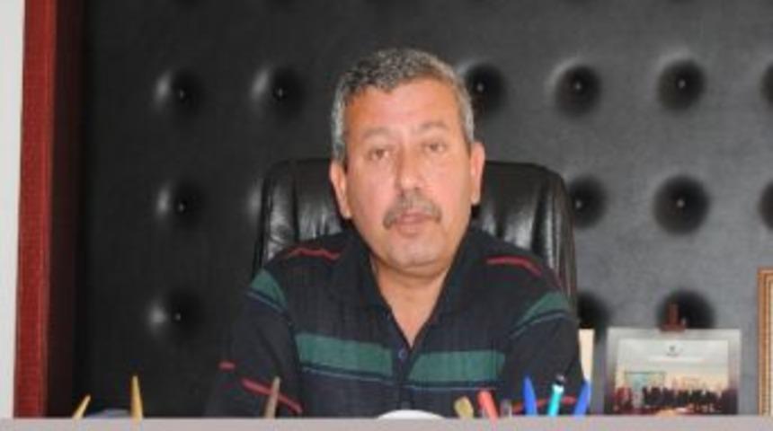 Fındıkta Tahmini Rekolte 650 Bin Ton