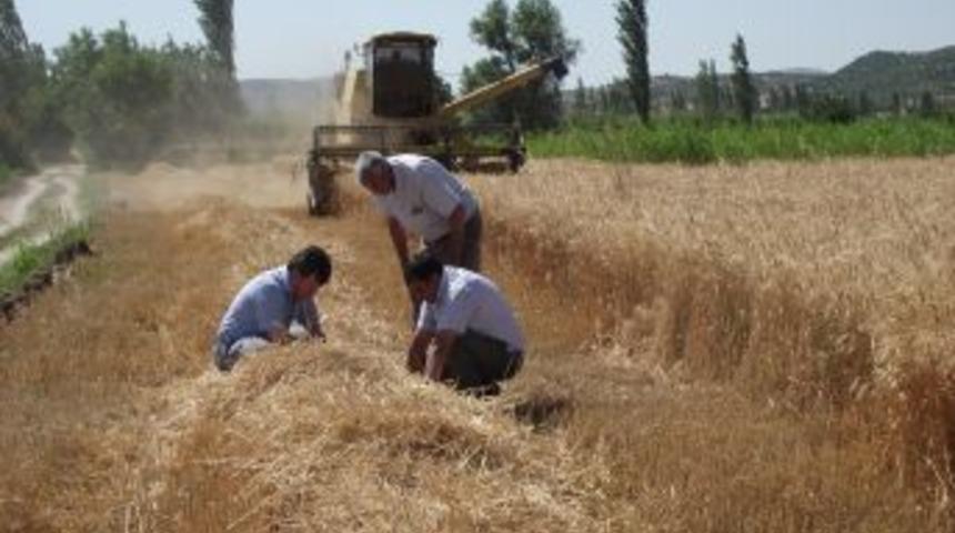 Sındırgı&rsquo;da Bi&ccedil;erd&ouml;verler Denetlendi