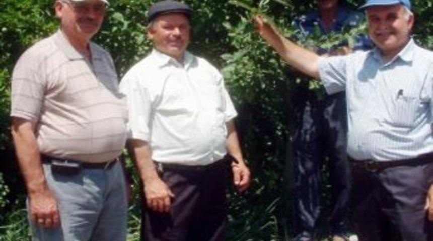 Bigadi&ccedil;&rsquo;te Akkaya Suyuna B&uuml;y&uuml;k İlgi