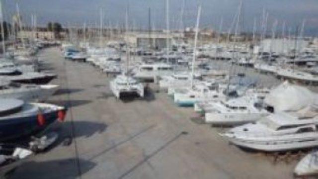 D-Marin Didim D-Cat Club'ı kurdu