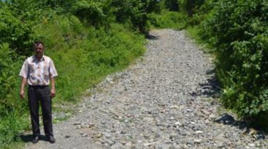 Muhtardan Yol Tepkisi