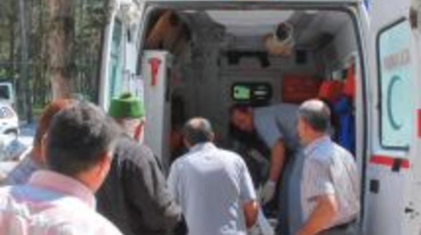 Osmancık&rsquo;ta ağa&ccedil;tan d&uuml;şt&uuml;