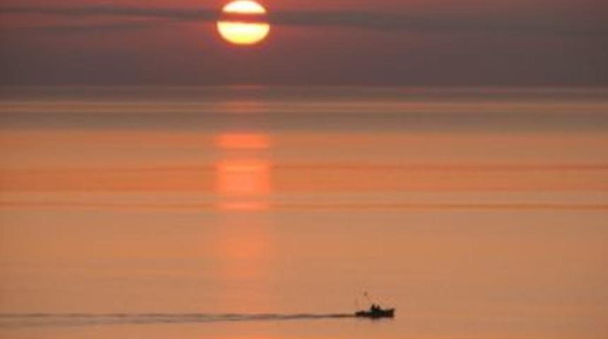 Ordu&rsquo;da G&uuml;n Doğumundaki Armonika