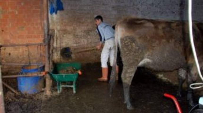 Damızlık Birliğinden "g&uuml;breden Temiz Enerji" Kokteyli