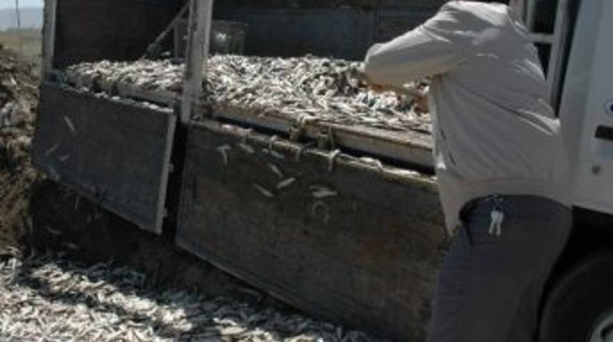 Van'da Ka&ccedil;ak Avlanmış 4 Bin 150 Kilo Balık Ele Ge&ccedil;irildi