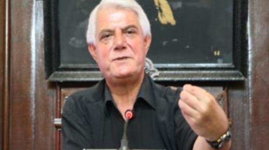 Yunanistan Kriz Nedeniyle Sivrisinekle M&uuml;cadele Edemedi, Edirne&rsquo;yi Sinekler Bastı