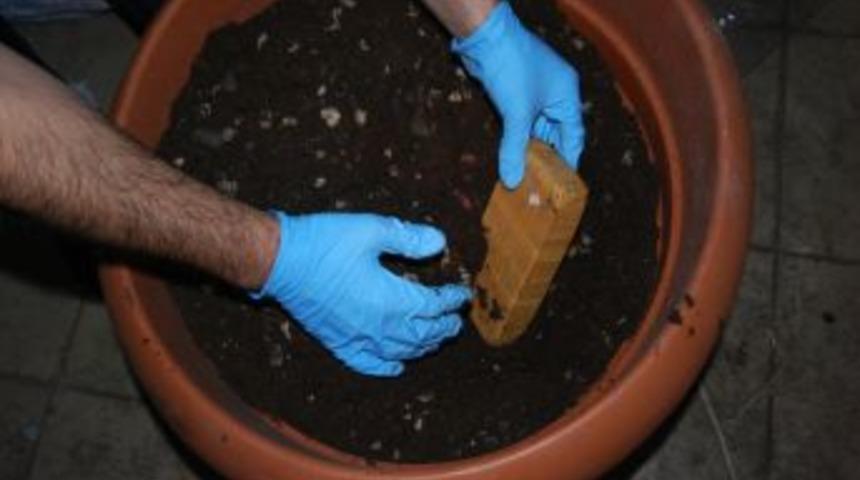 Eroin Bu Kez Saksıdan &Ccedil;ıktı