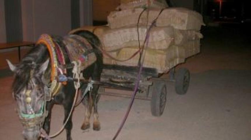 At Arabasıyla Sigara Kaçakçılığı