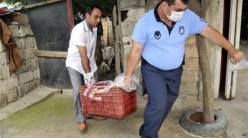 İki At son anda kurtuldu