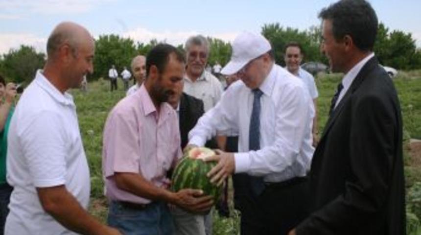 Vali &Ccedil;i&ccedil;ek: Iğdır'ı Tarımda Marka Şehir Haline Getireceğiz