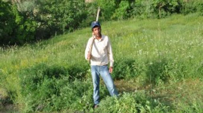 Hakkari&rsquo;de &Ccedil;ift&ccedil;iler Kış Hazırlıklarına Başladı