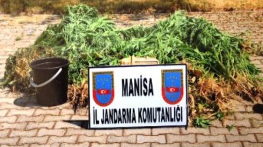 Alaşehir&rsquo;de Uyuşturucu Operasyonu