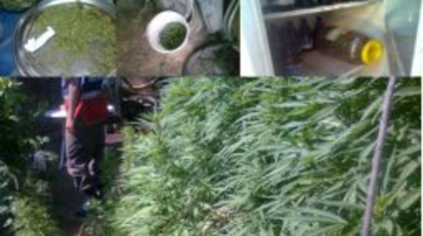 Sarayk&ouml;y&rsquo;de Kenevir Operasyonu